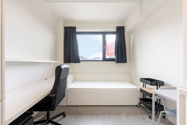 FALCONRUI 50 - 3.02 ANTWERPEN